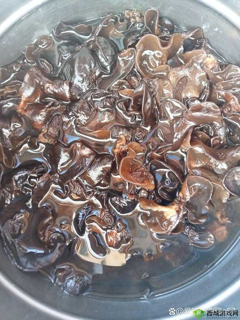 吃老婆的木耳是一种什么样的体验?