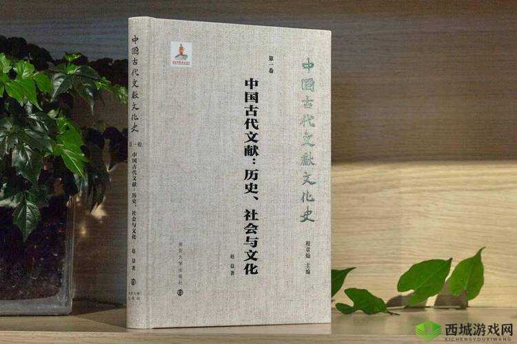 老女人逼逼败火:探究其历史、文化与社会意义