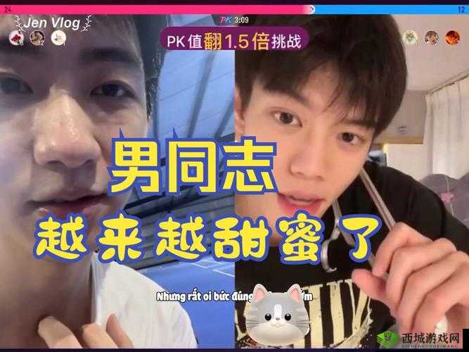 国产 CHINESE 男男 GAY 片:挑战传统观念的青春之歌