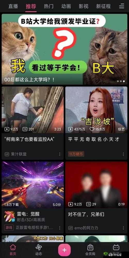 免费看的WWW哔哩哔哩：带你畅享精彩视频世界
