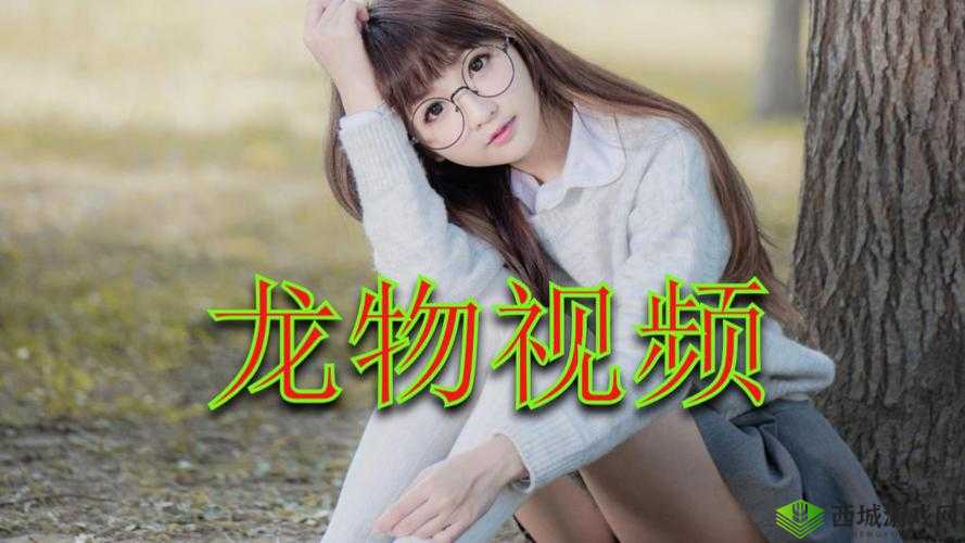 yw1139 龙物视跳转界面：精彩内容等你来探索