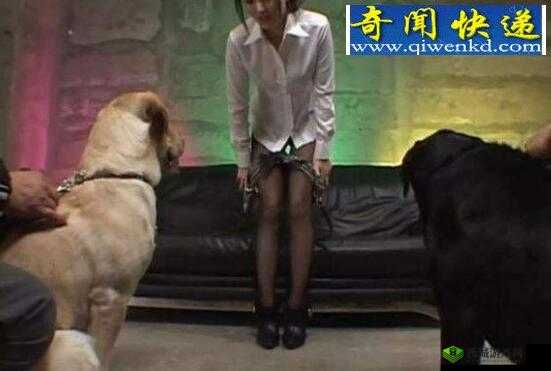 中国内射美女兽皇 999:揭秘神秘兽皇背后的故事