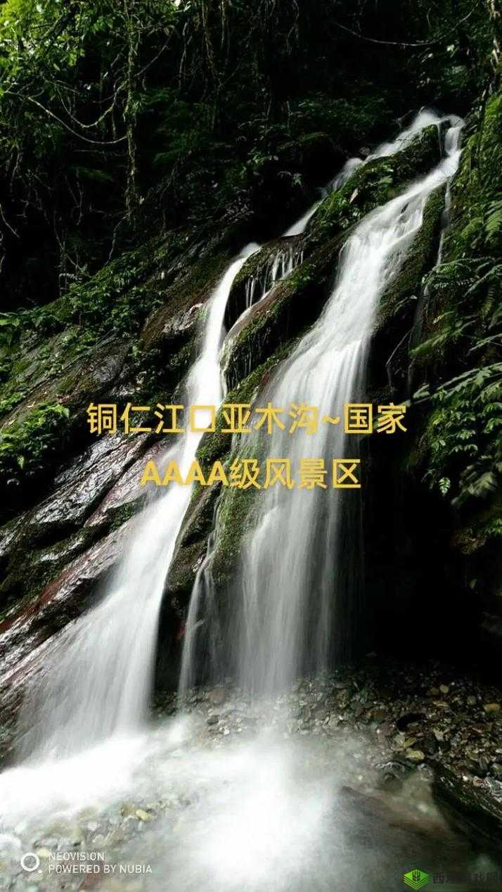 铜铜铜铜铜仁铜铜好大好美,值得你来看看