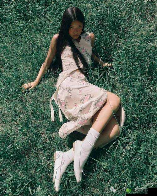 日本人泡妞XXXXX69:探究其背后的文化与心理因素
