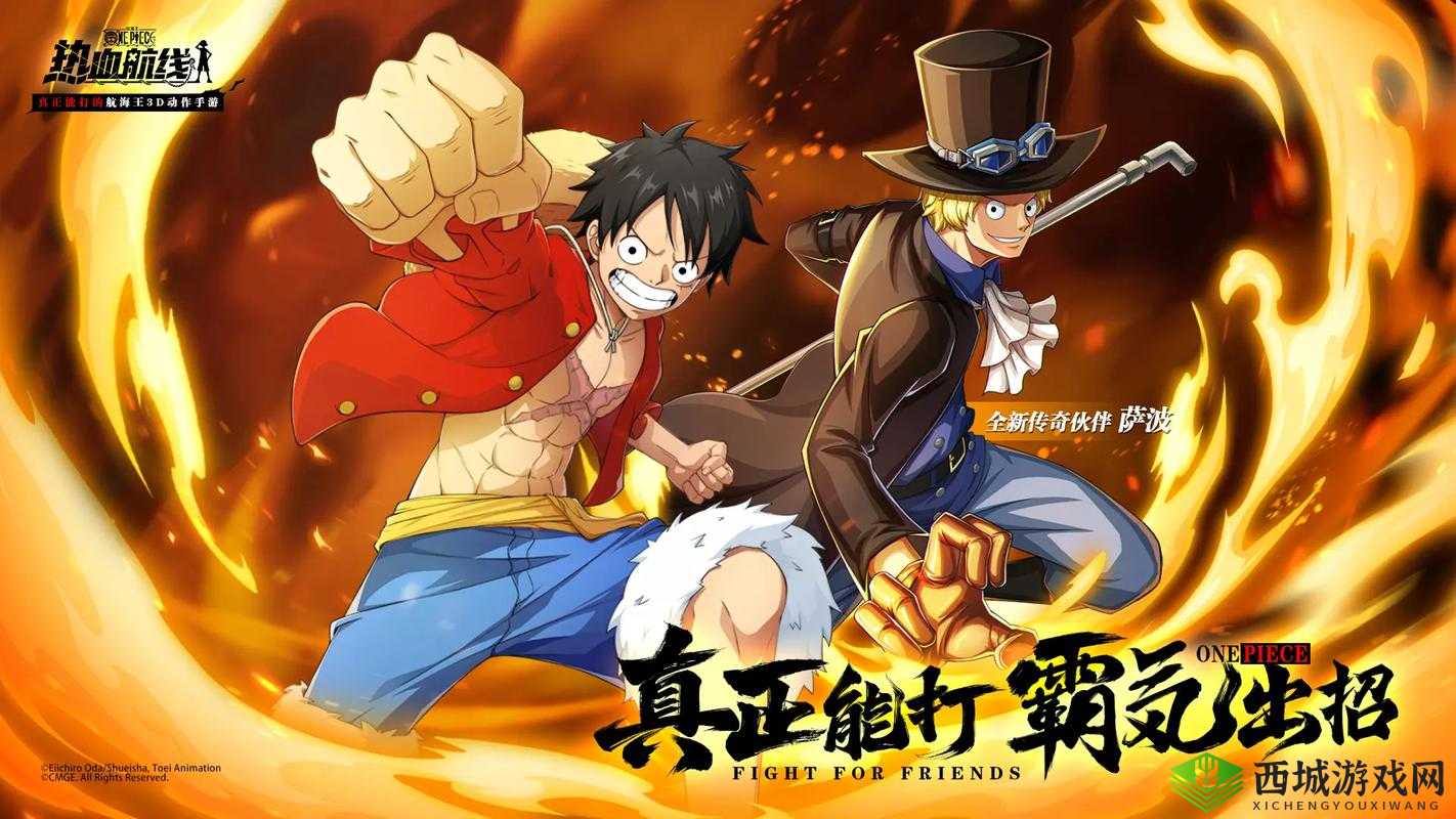 航海王热血航线,探索与冒险的无限可能