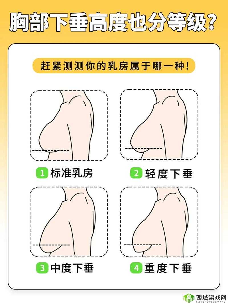 20 岁胸又软又下垂:为何年纪轻轻胸部却出现这种状况