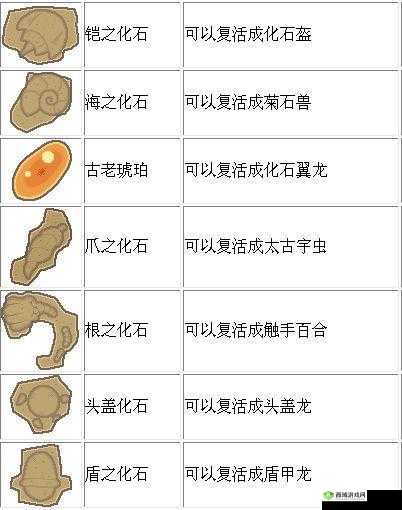 宝可梦大探险,揭秘吸引化石盔的神奇食谱配方