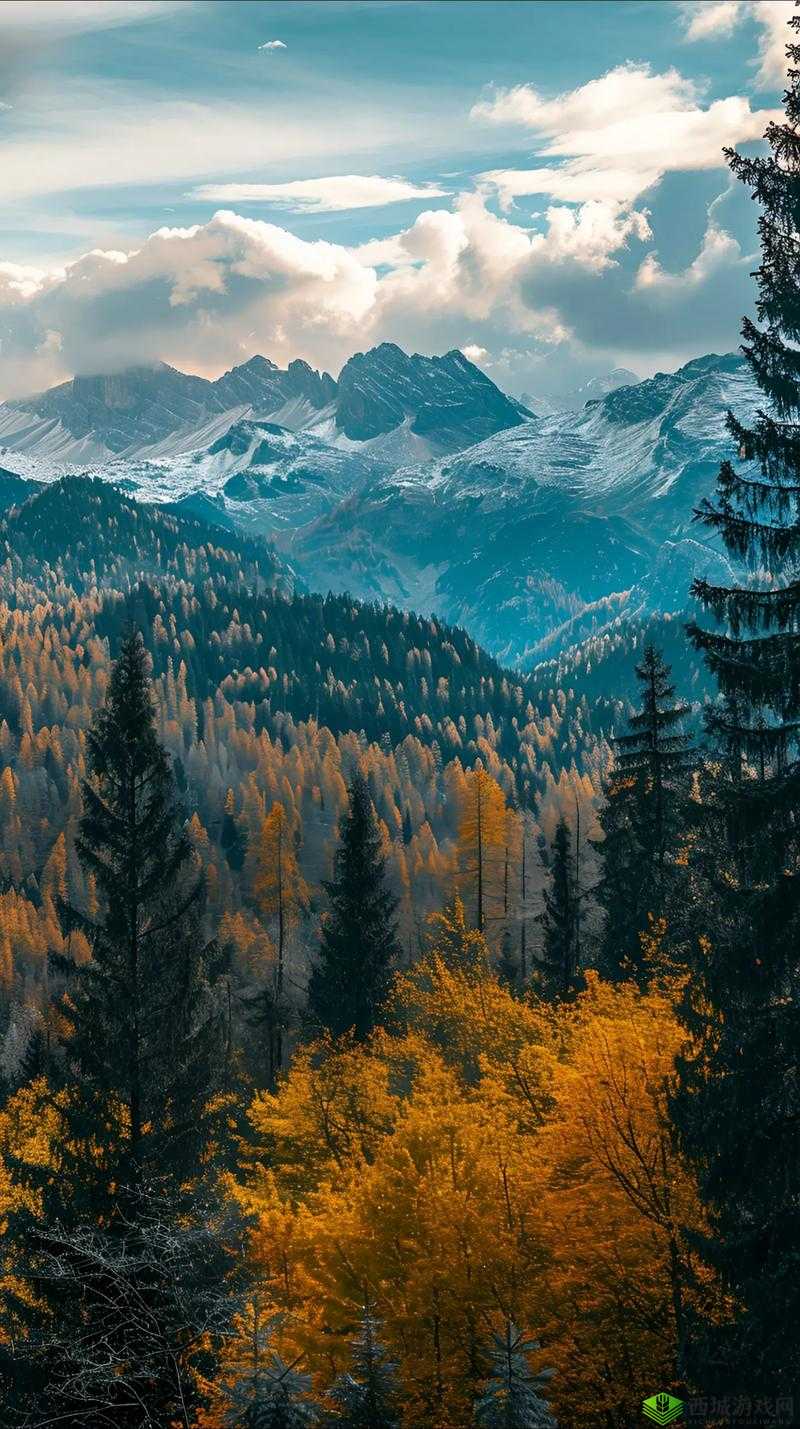 仙踪林奇景,让你领略大自然的神秘与美妙