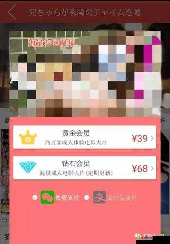 黄片影院:探索成人影视的秘密花园