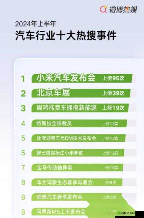 小米汽车，2024年发布在资源管理中的革新与展望