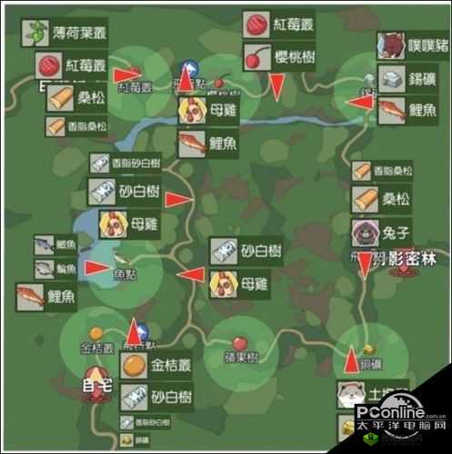 小森生活，揭秘鲤鱼王饲料的神秘获取之道