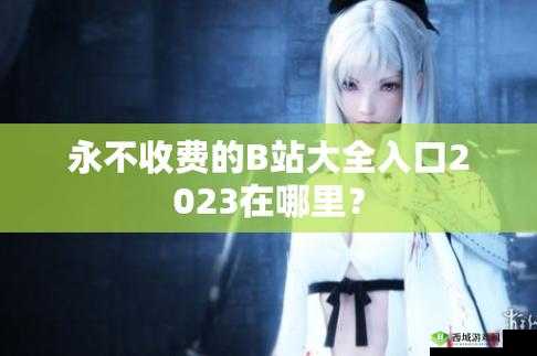 B站大全永不收费 2023 入口在哪:探寻其背后的秘密与价值
