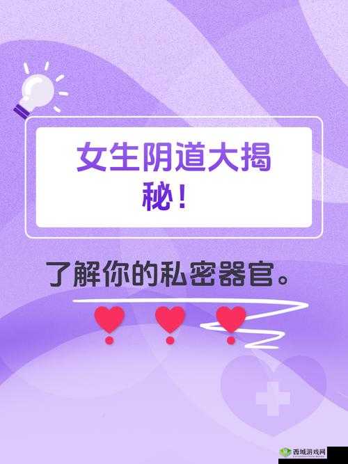 无套内谢孕妇毛片免费看:孕妇的私密生活大揭秘