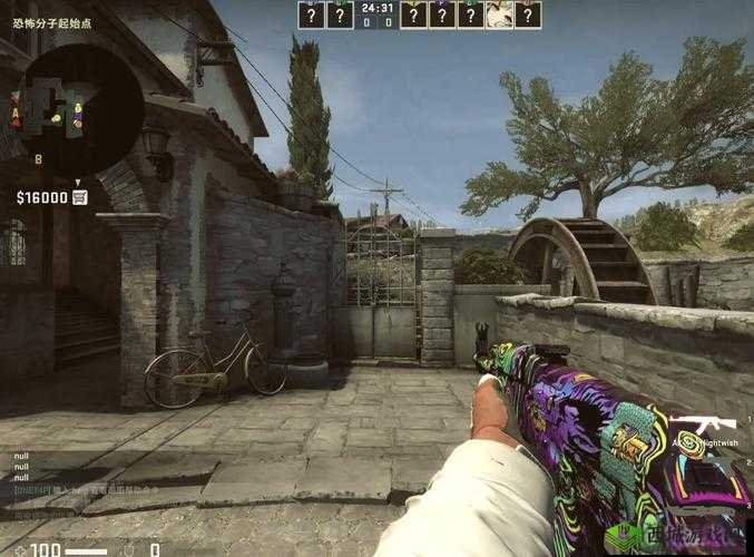 暴躁老阿姨CSGO:带你领略热血刺激的枪战世界