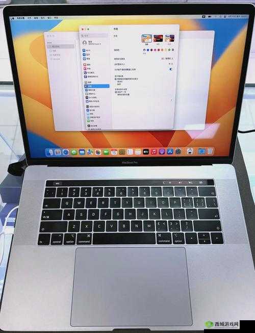 19 岁 MACBOOKPRO 欧美:青春与科技的激情碰撞之旅