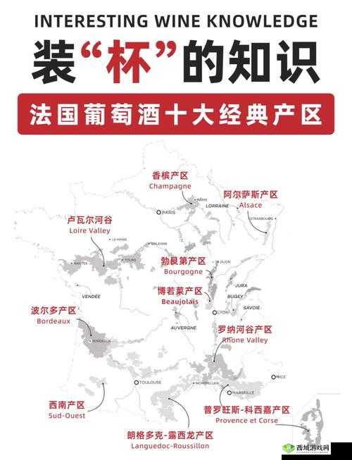 探索欧美精品一产区二产区葡萄酒:深入解读其独特魅力与文化内涵