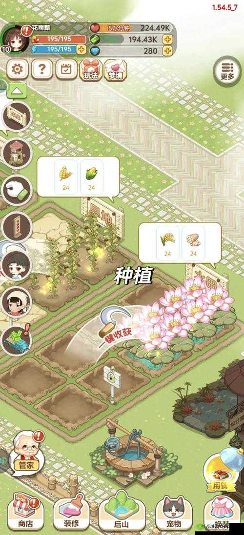 小森生活，探索与烹饪的田园诗篇