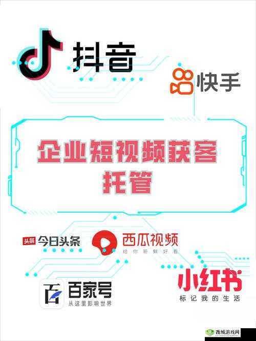 SEO 短视频网页入口网站推广:打造独特品牌形象提升知名度与影响力