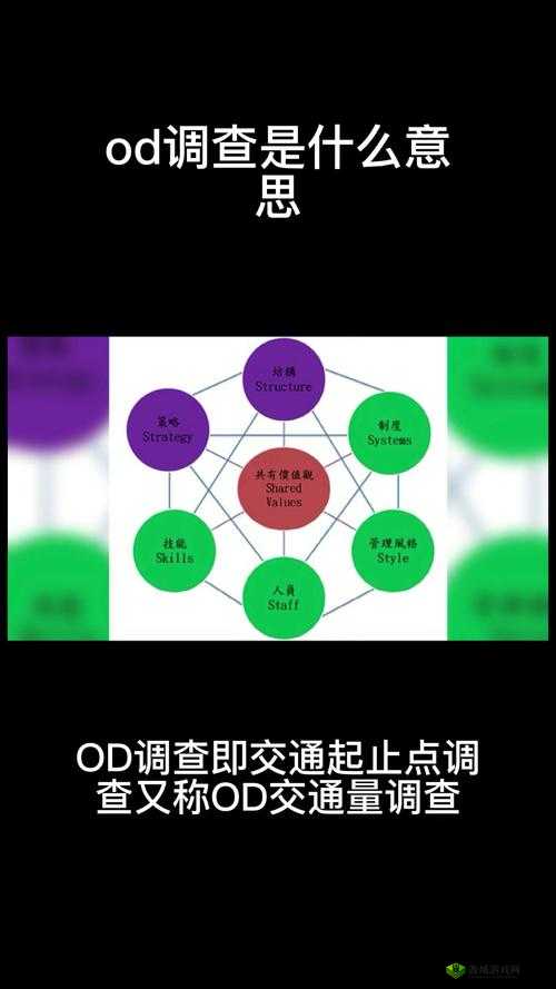od 是什么意思?它在不同领域有不同的含义