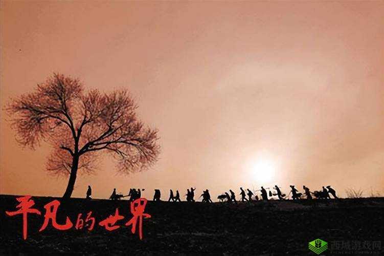老头 XXX╳XX 性 Aⅴ 恋老:探索别样情感世界