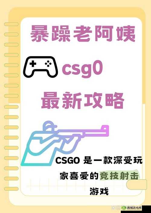 暴躁老奶奶的 csgo 比赛:看老奶奶如何在赛场上大杀四方