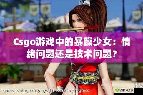16 岁小孩暴躁少女 csgo 高清播放:带你领略不一样的游戏世界