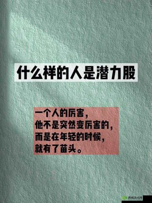 一二三产区的精华区:探寻其独特魅力与无限潜力的奥秘所在