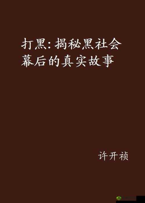黑料社今日黑料:揭秘那些不为人知的幕后故事