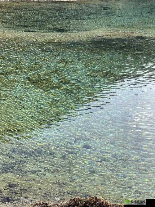 黄龙风景区溪水潺潺的秘密是什么：探寻其背后的神奇缘由与故事