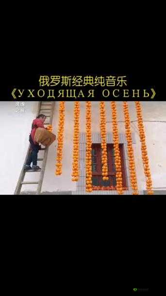 Bbox 撕裂 Bass 俄罗斯:探寻独特音乐魅力背后的故事