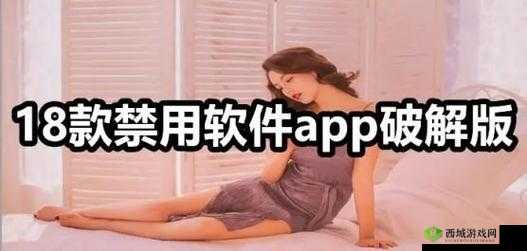 夜里 18 款禁用软件 APP 的功能详解:深入探究其特性与影响