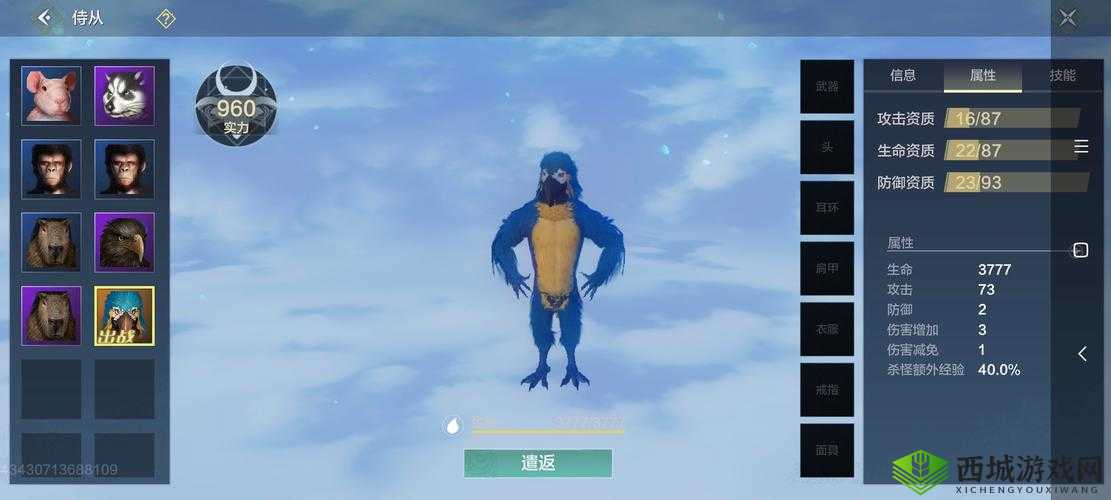 妄想山海金刚鹦鹉,近战输出的灵动霸主