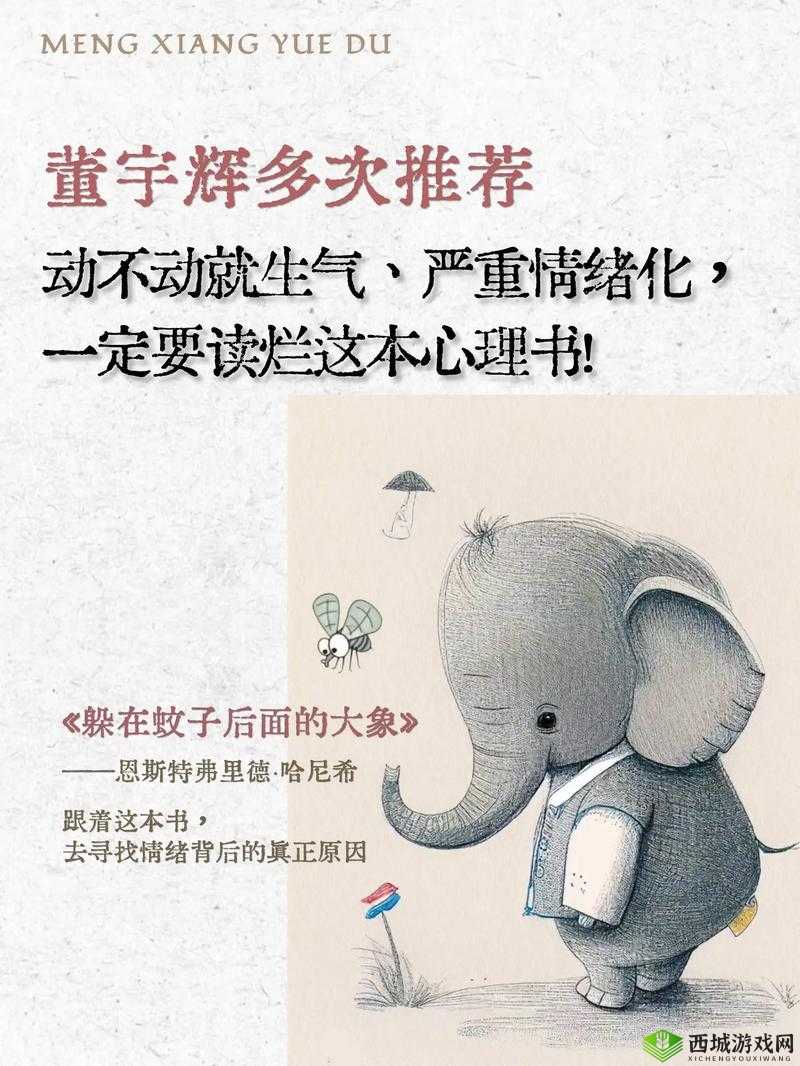 满 18 点此安全转入 2024 大象:开启全新征程的重要入口