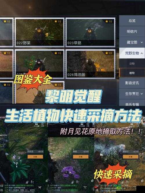 探秘黎明觉醒,西佛的遗产与未解之谜
