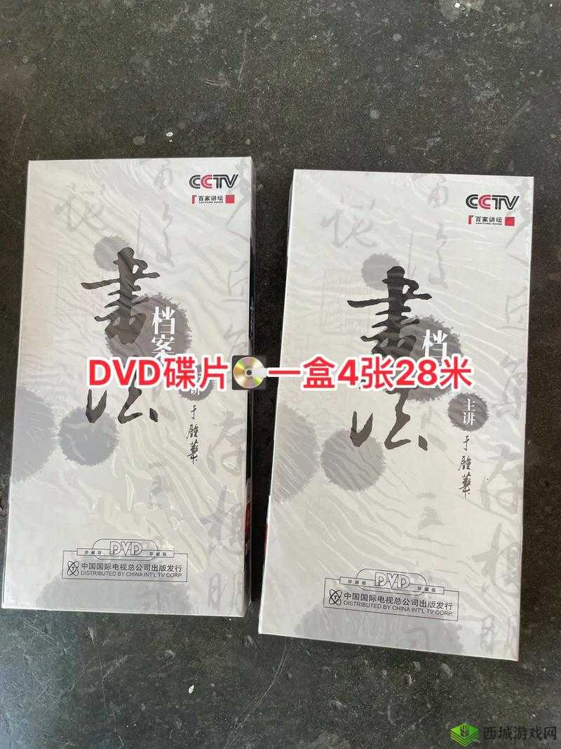 高清 DVD 碟片生活片:记录生活点滴的精彩呈现