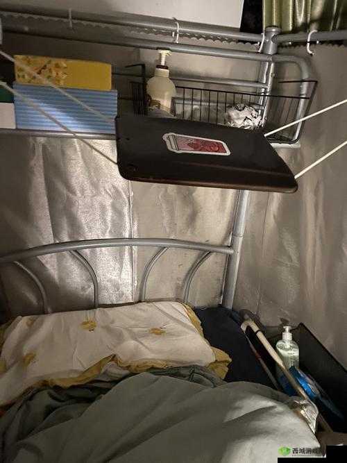 熄灯后的寝室 pH:探索黑暗中那未知的化学奥秘