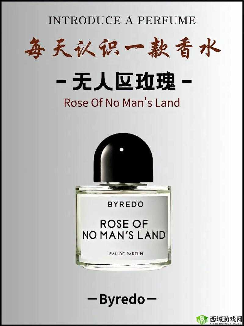 无人区玫瑰香水女士持久留香,芬芳魅力尽情绽放