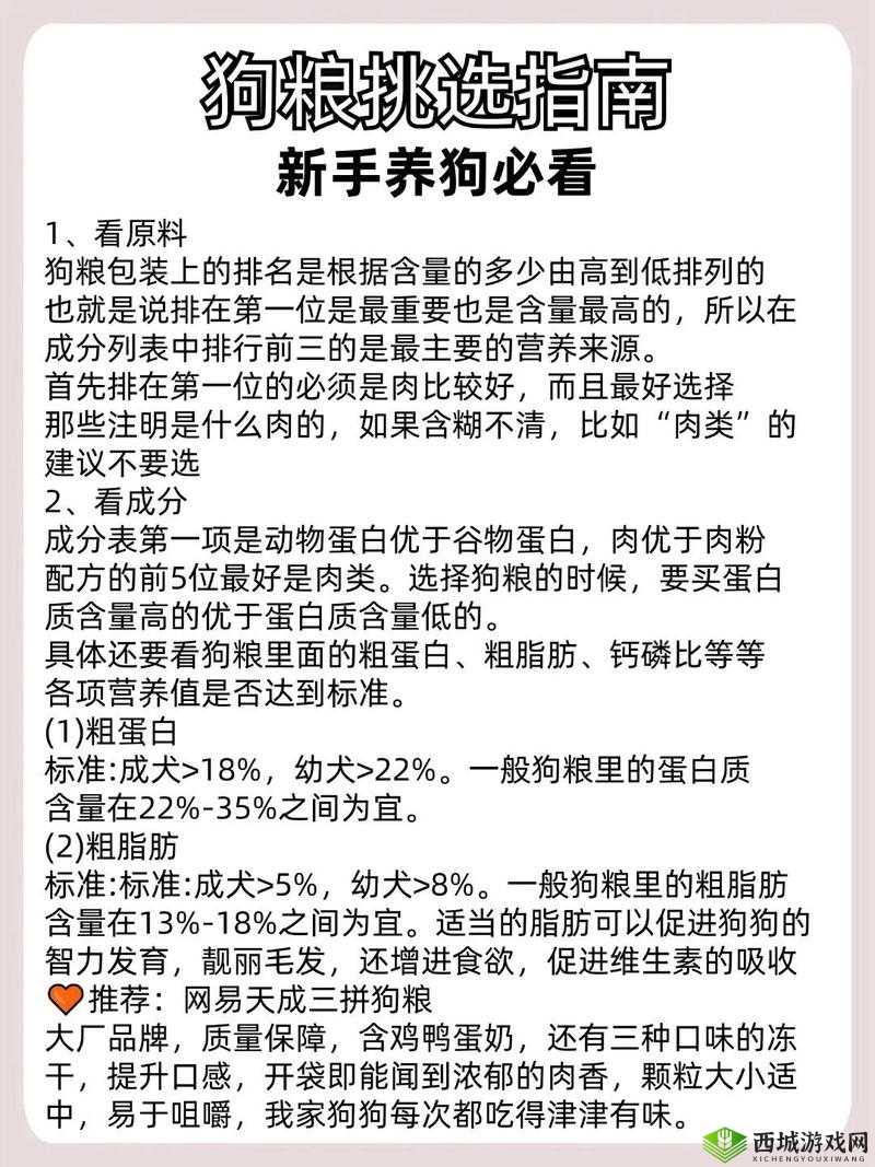 废土危行宠物狗怎么获得，新手养狗攻略在资源管理中的重要性与实践