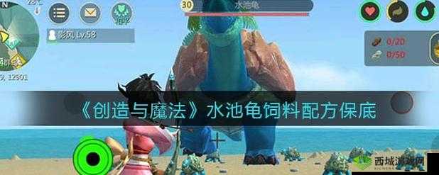 水池龟抓捕秘籍，三文鱼与鲶鱼的魔法诱惑