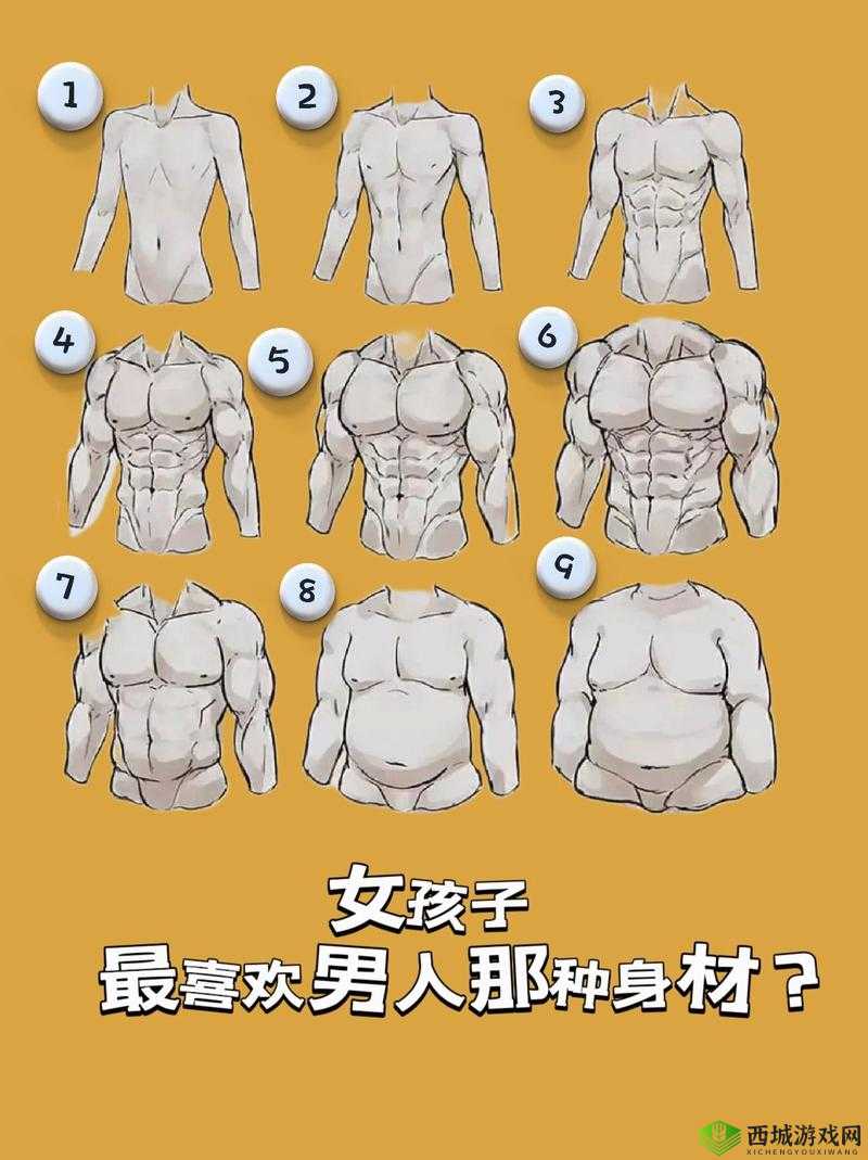 人类高质量男性与女性的理想体型:六六人体