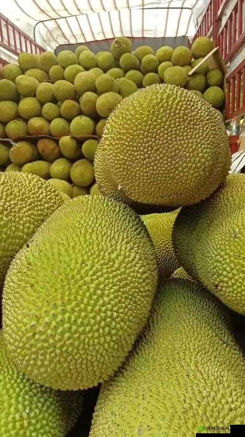 亚洲日产菠萝蜜:优质水果的独特魅力