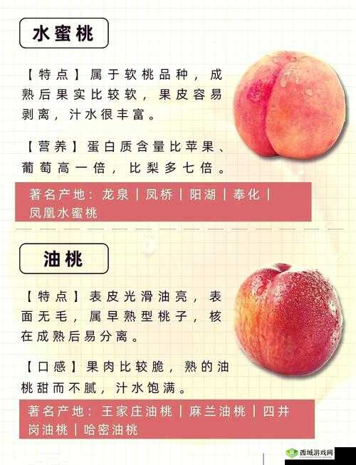成熟多汁的 1hhhh 蜜桃:探索甜蜜的奥秘