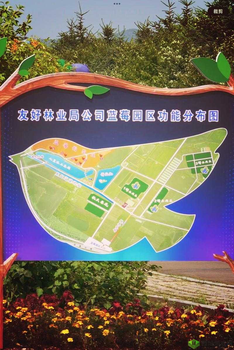 伊春园 2024 入口直达大象:奇幻之旅开启