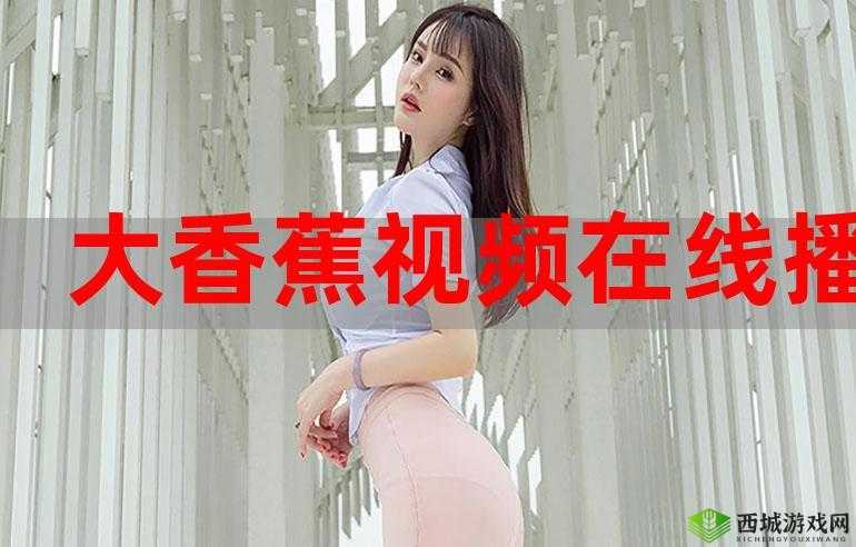 2019 香蕉在线观看直播:无限制精彩内容等你来发掘