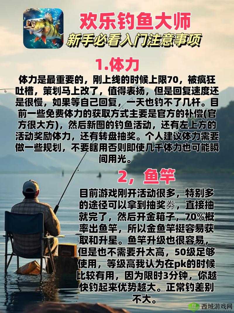 荒岛求生进化，钓鱼技巧与鱼竿制作的重要性及实践指南