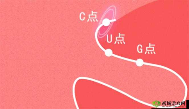 从 W 到高 C 的 50 种图片教程视频,你想知道怎么做吗?