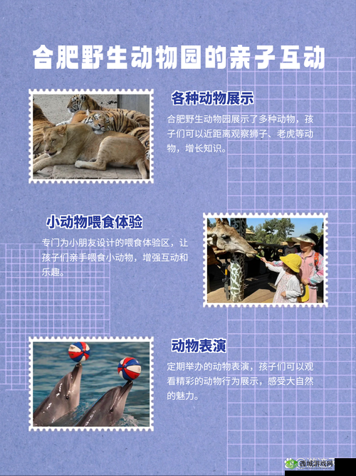 想知道哪里可以人物动物高清免费观看国语?快来这里找答案