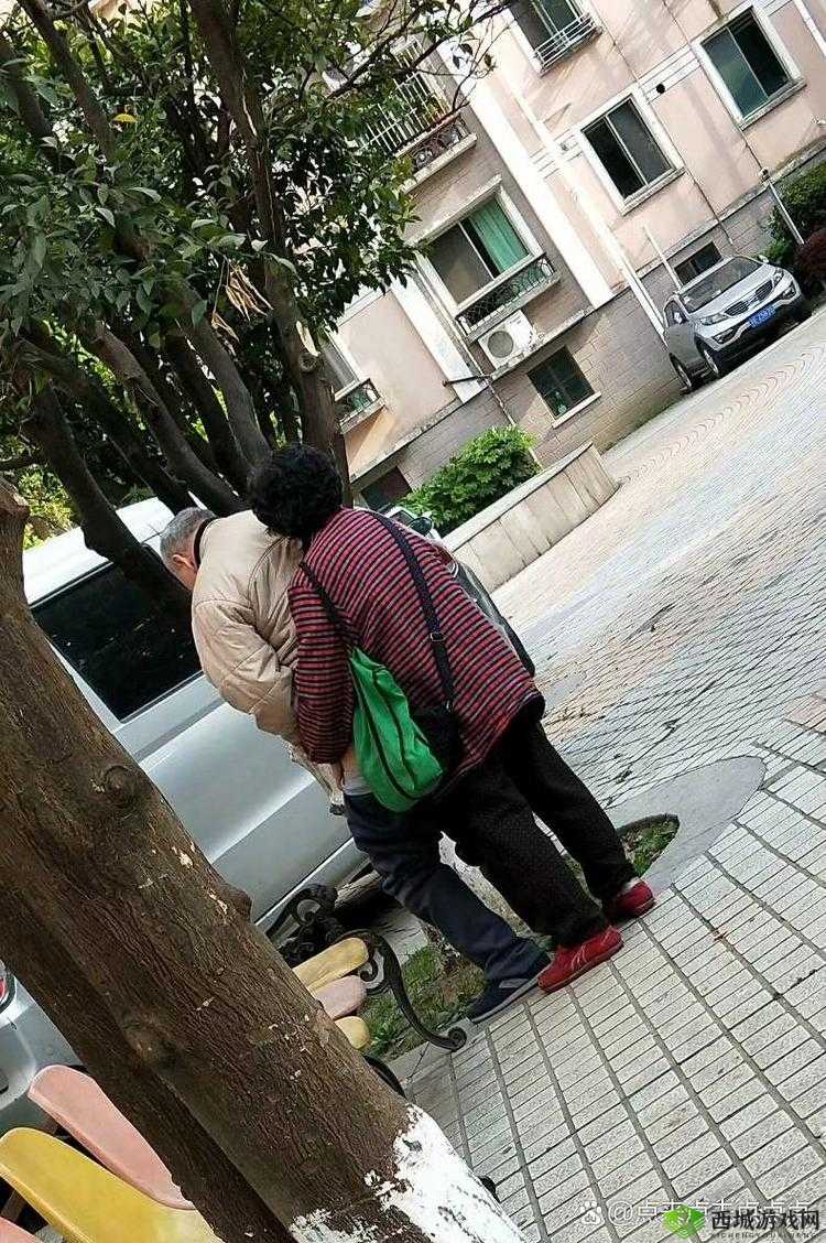老头蹲厕系列 3 视频为何如此引人关注？其背后有何独特魅力与故事？