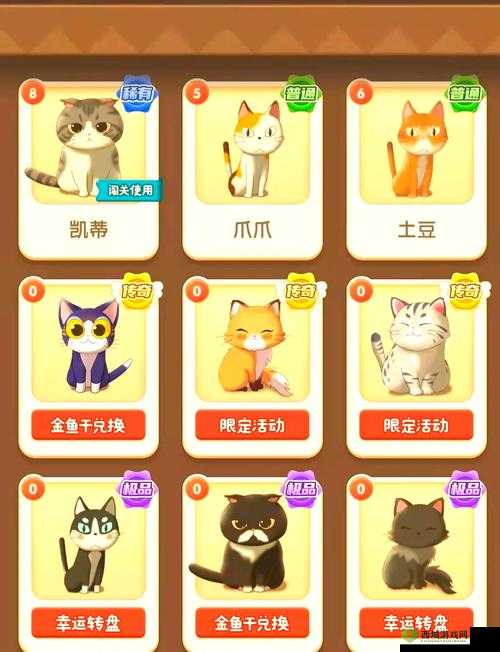 猫语咖啡公主怎么样?技能介绍攻略