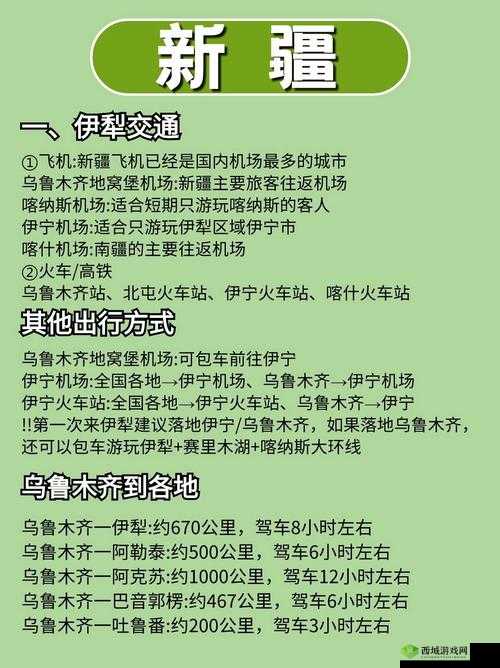新疆猛1的又粗又大:探索其独特魅力与背后的文化故事